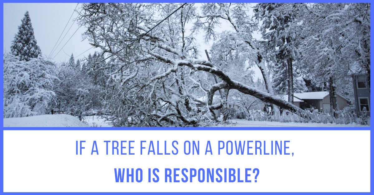 If A Tree Falls On Power Lines, Who Is Responsible?