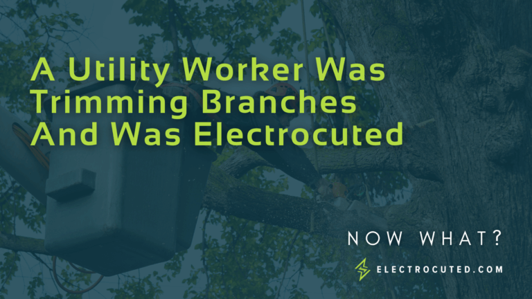 A Utility Worker Was Trimming Branches And Was Electrocuted: Now What?